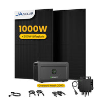 Growatt NOAH 2000 All-in-One Speicher für Balkonkraftwerke, mit 2 x 500W JA Solar Bifaziale Solarmodule,by Powerness